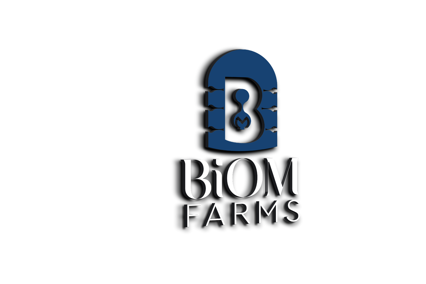 Biom Solutions